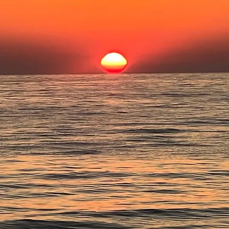 302