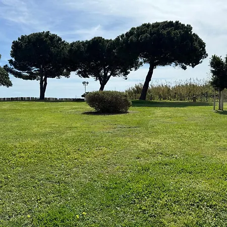 Apartment N 302