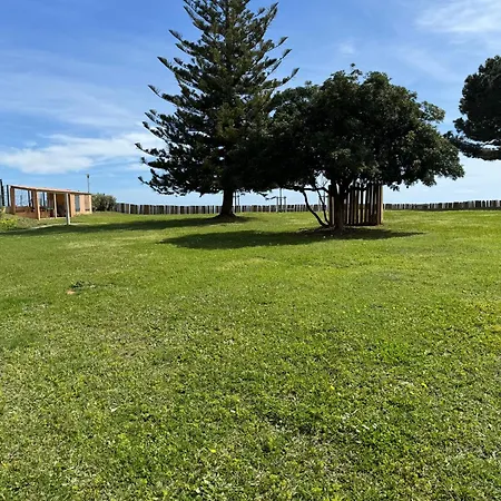 Apartment N 302